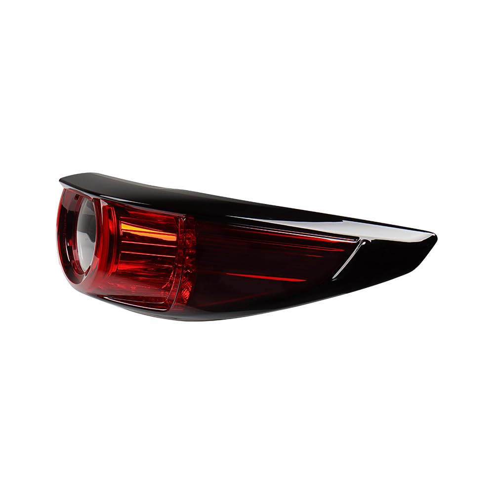 Amazon.com: Anzios Right Passenger Taillight Turn Signal Running
